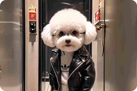 Köpeklerde Diş Sağlığı Düzenli Bakımın Önemi